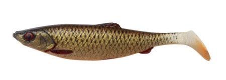 63679_dirty_roach_.jpg