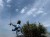 by-dome-team-feeder-tornado-long-cast-420lc_245918_1_0x0.jpg