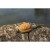 koszyk-preston-ics-in-line-dura-flat-method-feeder-30g-mini (1).jpg
