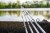 PRESTON DURA CARP FEEDER6.jpg