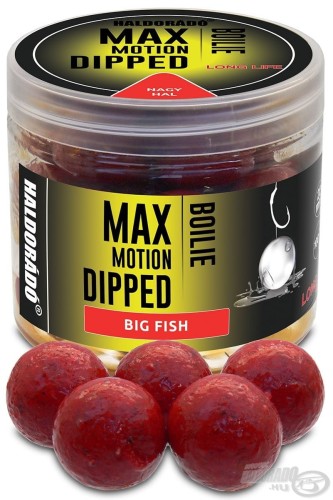 Przejdź do produktu Kulki HALDORADO MAX MOTION Boilie Dipped 20 mm - Duża Ryba