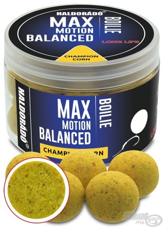 haldorado-max-motion-boilie-balanced-20-mm-champion-corn.jpg