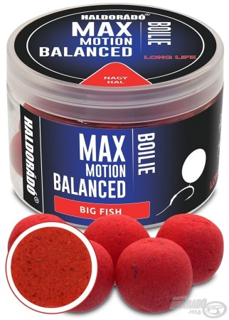 haldorado-max-motion-boilie-balanced-20-mm-duża ryba.jpg