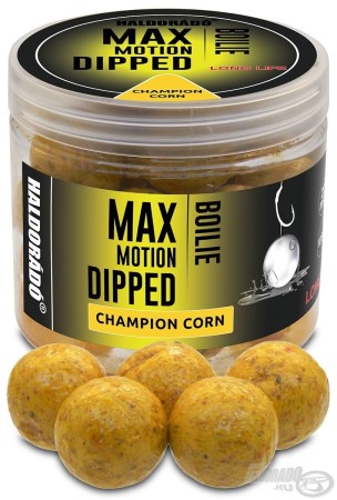 haldorado-max-motion-boilie-dipped-20-mm-champion-corn_249842_1_0x0.jpg