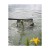 kosz-podbieraka-matrix-carp-scoop-landing-net-xl-60x50cm (3).jpg