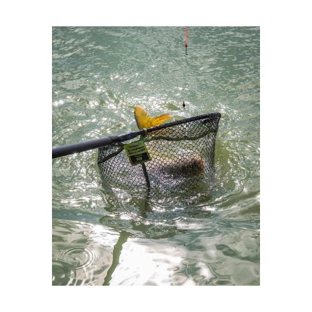 kosz-podbieraka-matrix-carp-scoop-landing-net-xl-60x50cm (5).jpg