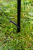 kp-k0360075_distancemarkasticks-05_productlifestyleimage1.png