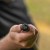 Avid-Carp-42-Revolve-Net-2Pc-8Ft-42-REVOLVE-Net-2pc-8ft-5056317734669-A06100172.jpg