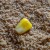 haczyki-matrix-x2b-wide-gape-feeder-roz-10 (2).jpg