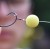 baits-floss-1-500x494.jpg