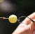 baits-floss-2-500x494.jpg