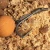 49321.webp