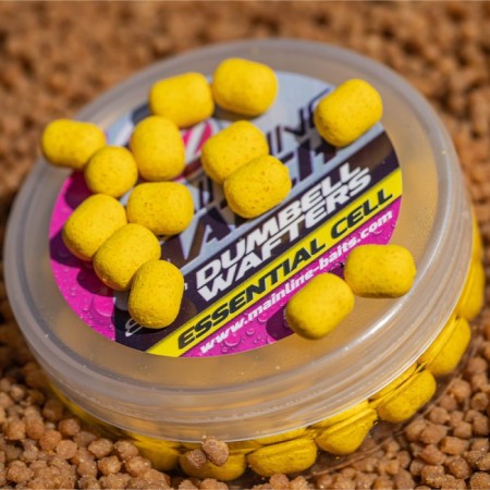 yellow3.jpg