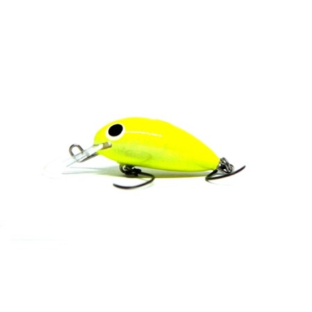 67ec450c447539.88137015.jpg