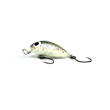 67ec47091c1984.66163102.jpg