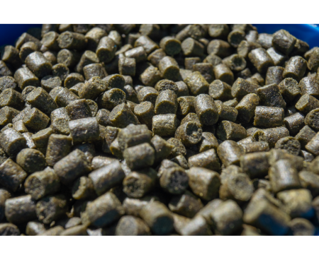 sp-10512_marinegreenfeedpellets-04_lifestyle.png