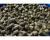sp-10512_marinegreenfeedpellets-04_lifestyle.png