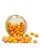 rainbow-egg-wafters-wyprane-eggstreme-fishing (2).jpg