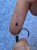 haldorado-tungsten-oval-bead-6-mm-volfram-horogeloke-sulyozo-es-gumi-utkozo_367550_1_0x0.jpg