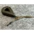haldorado-camou-lead-clip-box_261160_2_768x768.webp