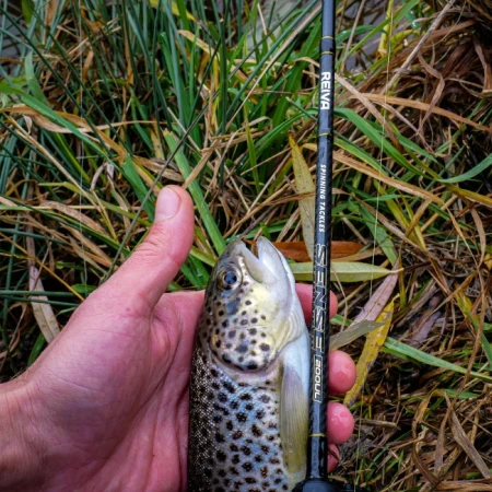 1443-211-5.jpg