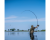 ap-0118_revolve-rods_14.png