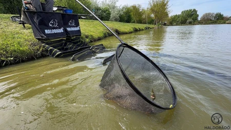 haldorado-power-carp-landing-net-55x50-cm-szupereros-alu-pontyos-meritofej_402686_1_0x0.jpg