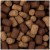 p35316-wafters-baitnow-method-feeder-o-fish-fish-betaine-8mm-24g (2).jpg
