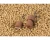 s0960005_2.png.webp