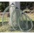 kosz-podbieraka-korum-folding-spoon-net-26 (4).jpg