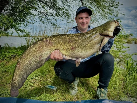 haldorado-catfish-rig-8-csalikarikas-elohalas-eloke_253203_2_0x0.jpg