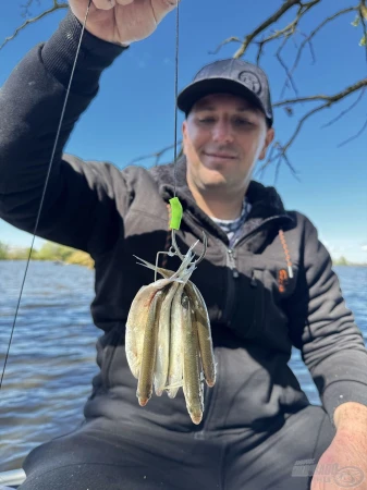 haldorado-catfish-rig-8-csalikarikas-elohalas-eloke_253202_2_0x0.jpg