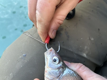haldorado-catfish-rig-6-fireball-szerelek-150-g_252436_2_0x0.jpg