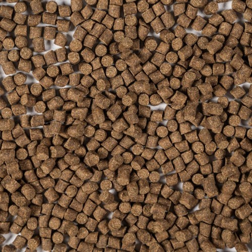 Przejdź do produktu Pellet Aller Aqua Classic 6mm 1kg