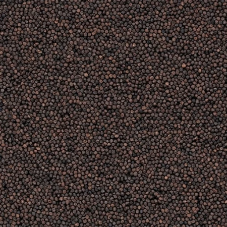1782221565096-019ef4ae-4dc5-7372-af15-7391b77d3717.jpeg