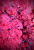 pol_pl_KULKI-HACZYKOWE-INVADER-ATTYLA-250ml-TRUSKAWKA-RYBA-472_3.png