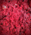 pol_pl_KULKI-ZANETOWE-INVADER-SOBIESKI-800-g-MORWA-82_5.png