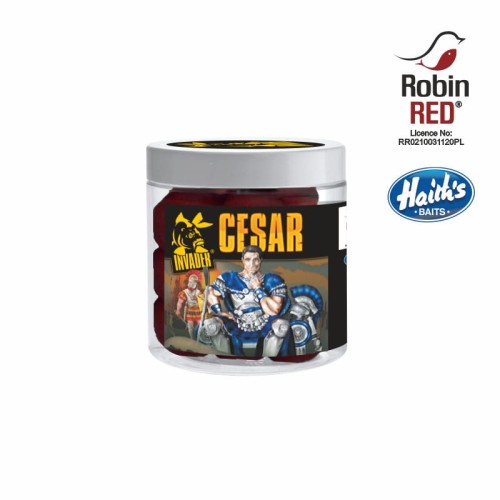 Przejdź do produktu KULKI HACZYKOWE INVADER CESAR 250 ml - SQUID / PORZECZKA
