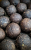 pol_pl_KULKI-ZANETOWE-INVADER-VICTORY-800-g-MONSTER-KRAB-59_1.png