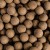 2 (5).webp