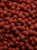 2 (12).webp