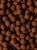 2 (14).webp