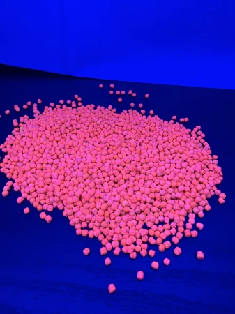 p4.jpg