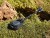 haldorado-dart-metal-l-45-g-vezetoszar_225774_1_0x0.jpg