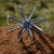 cresta-ground-bait-whisks-2-sizes.jpg