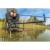 ramie-preston-offbox36-xs-feeder-arm-long-100-180cm (1).jpg