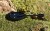 haldorado-dart-pro-xl-65-g_225756_1_0x0.jpg